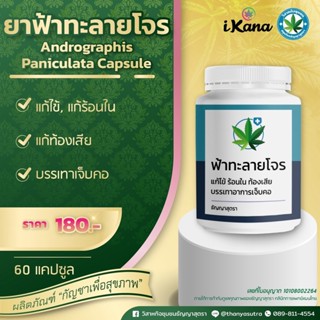 ยาฟ้าทะลายโจร (Andrographis Paniculata Capsule)