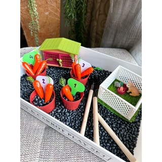 🥕Bunny &amp; Carrot Play Set🐇 ชุดปลูกแครอทในสวน ฝึกนับเลข sensory play (ได้ทั้งเซ็ตในภาพ)