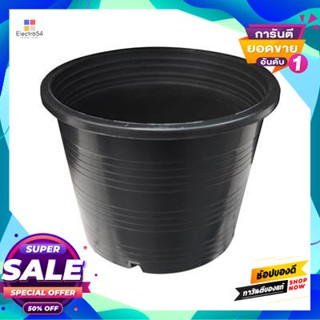 Black กระถางพลาสติกดำ PNP ขนาด 6 นิ้ว สีดำ Black plastic flower pot .size 6 inches black