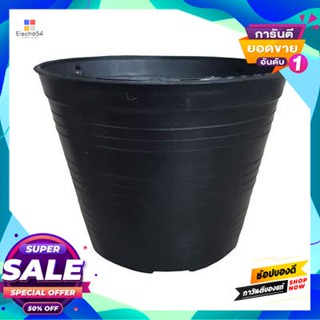 Black กระถางพลาสติกดำ TPS ขนาด 6 นิ้ว (แพ็ก 50 ชิ้น) สีดำ Black TPS plastic flower pot size 6 inches (Pack 50 pcs.) Blac