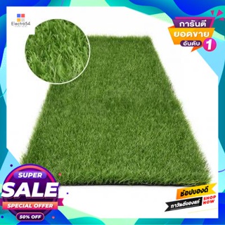 Artificial หญ้าเทียม (ตัดขายเป็นเมตร) รุ่น AmplePX2-2501G073-BL ขนาด 2 x 1 เมตร สีเขียวอ่อน Artificial grass (cut per me