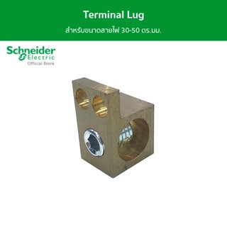 Schneider Terminal Lug ขนาดใหญ่ สำหรับขนาดสายไฟ 30-50 ตร.มม. รหัส SDALUG50