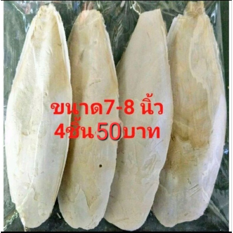 กระดองหมึก7-8นิ้วแคลเซียมสำหรับนก