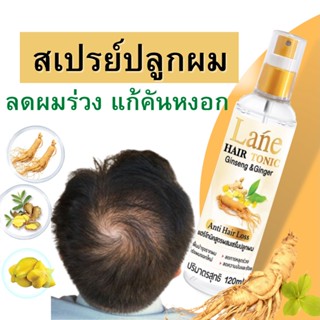 Lane สเปรย์ปลูกผม ลดผมร่วง เร่งผมยาว ลดอาการคัน เชื้อรา ลดหงอก 14 วันหยุดร่วง 120ml