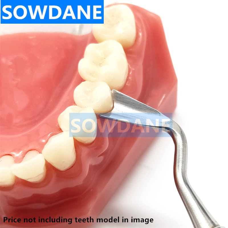 ஐ Dental Implant Gingival Retraction Gingival Retractor Dental Gum