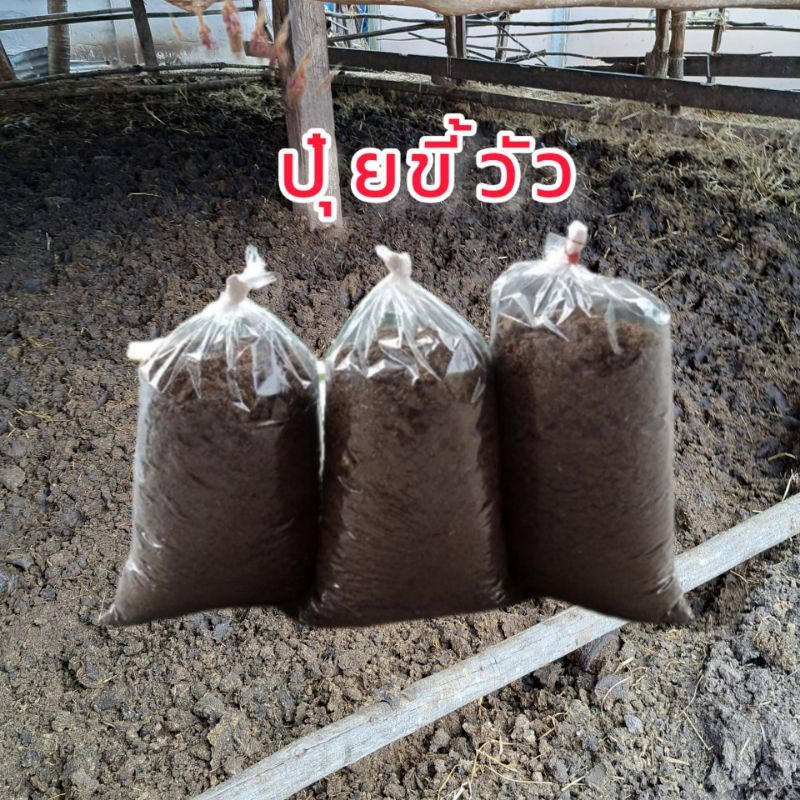 ปุ๋ยขี้วัวแห้ง ปุ๋ยคอกมูลสัตว์  ราคาถูก