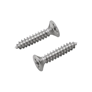 SELF-TAPPING สกรูเกลียวปล่อย TF DEXZON 3X15 มม. 25 ตัวSELF-TAPPING SCREWS TF DEXZON 3X15MM 25EA