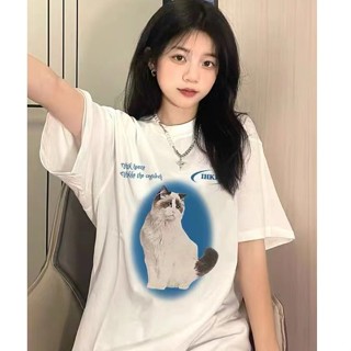 Korean casual t-shirt cat printed loose oversized cotton round neck top for women_07