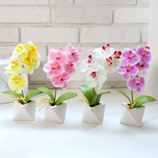 【AG】Simulation Phalaenopsis Bonsai Ornaments Artificial Flower Pot Garden Home Decor