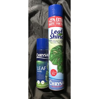 คริสซอล สเปร์ยฉีดใบมัน CHRYSAL Leaf Shine (aerosol) แท้ เนเธอร์แลนด์ 100%