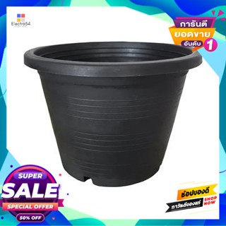 Black กระถางพลาสติกดำ TPS ขนาด 4 นิ้ว (แพ็ก 50 ชิ้น) สีดำ Black TPS plastic pot size 4 inches (Pack 50 pcs.) Black