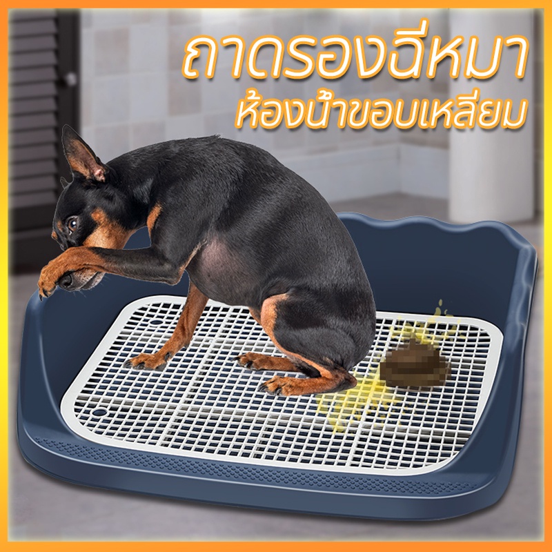 🐶ห้องน้ำหมาขอบสี่เหลี่ยม ห้องน้ำสุนัข ถาดฉี่สุนัข มีเสาถอดได้ มีตะแกรงรองถาด ทำความสะอาดง่าย ถาดรองฉี่สุนัข