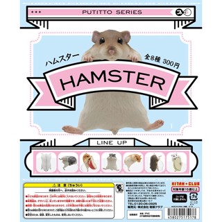 🐭พร้อมส่ง putitto hamster ( ของเเท้ ญี่ปุ่น )