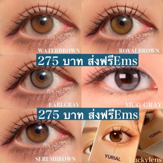 ส่งฟรีEms⚡️YURIAL IDOLLENS (0.00 , -300) คอนเเทคเลนส์รายปี