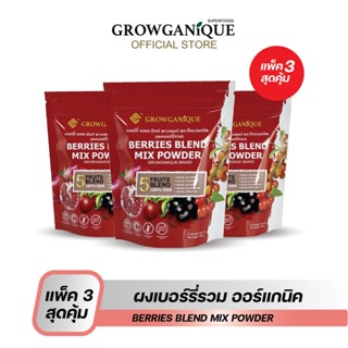 Growganique [แพ็คสุดคุ้ม 3 ซองง] ผงเบอร์รี่รวม ออร์แกนิค บำรุงผิวพรรณ สมองและสายตา เสริมภูมิคุ้มกัน