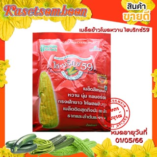 เมล็ดข้าวโพดหวาน พันธุ์ ไฮบริกซ์59  1 กก. ตรา แปซิฟิค เมล็ดสีเหลือง หวาน นุ่ม