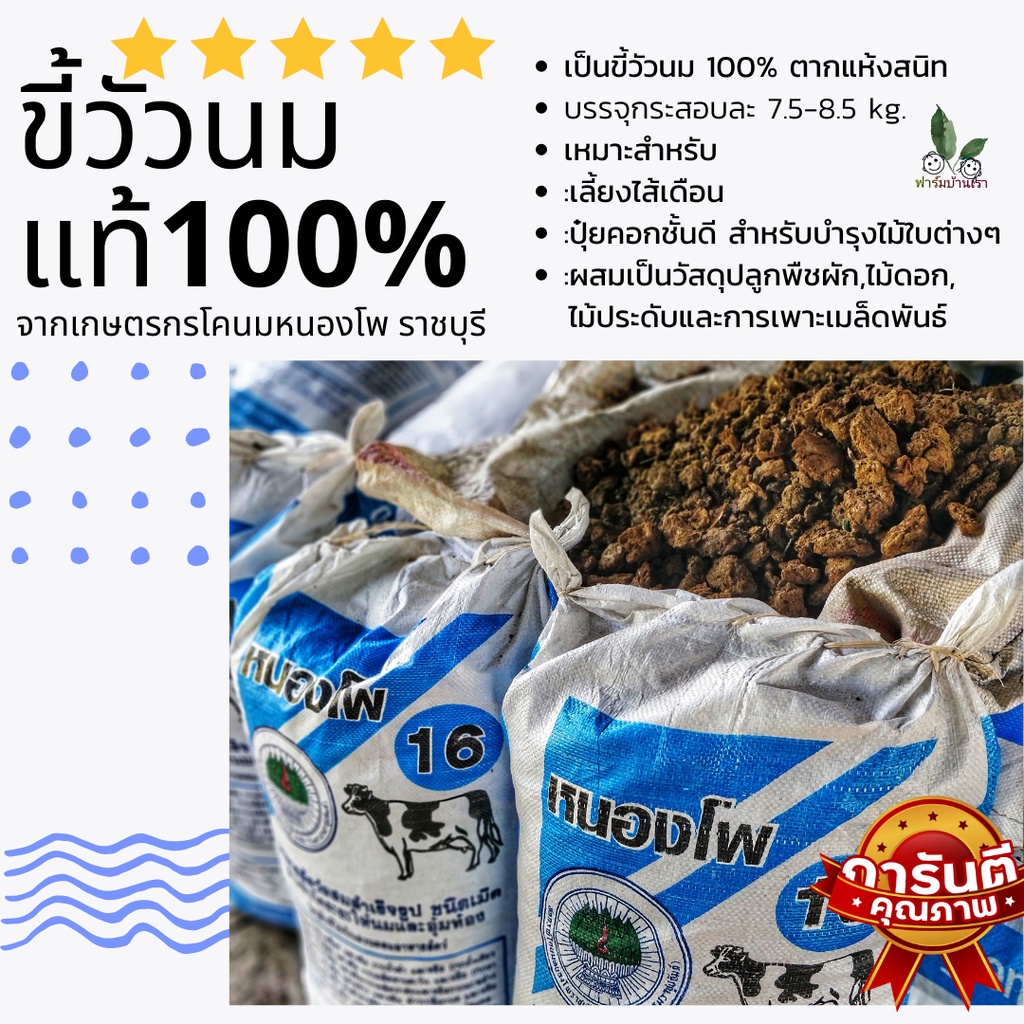 ขี้วัวนม เกรดA 100% เบดดิ้งเลี้ยงไส้เดือน ปุ๋ยคอกชั้นเยี่ยม ปลอดภัยไม่มีสารเคมี ไม่มีโซดาไฟ  มูลวัว ขี้วัว ตากแห้งสนิท