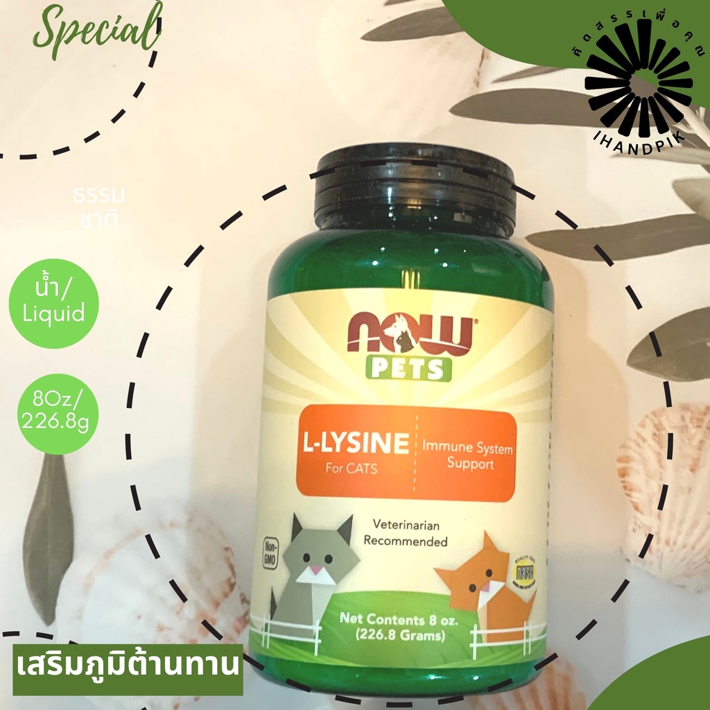 (exp.06/2028) Now foods, L-Lysine for cats 8oz (226.8g) ไลซีนสำหรับแมว ขวดละ 226.8g