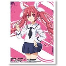 Bushiroad Sleeve HG Vol.545 Date A Live [Itsuka Kotori]