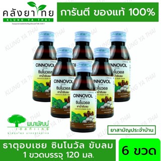 [ 6 ขวด] ยาธาตุอบเชย ซินโนวัล บำรุงธาตุ ขับลม แน่นท้อง ขนาด 120 มล (ยาสามัญประจำบ้าน)