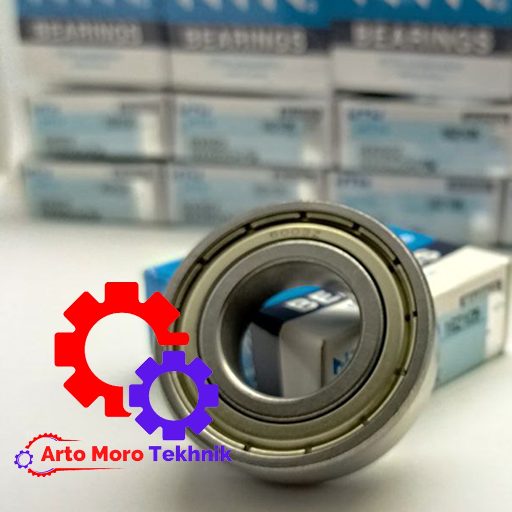 Bering 6003 ZZ NTN**