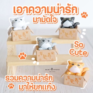 MS0290 โมเดลแมวน้อยในกล่อง 4 สี ตุ๊กตาจิ๋ว ตุ๊กตาแต่งสวน * ถ่ายจากสินค้าจริง-จากไทย-ชุดสุดคุ้ม