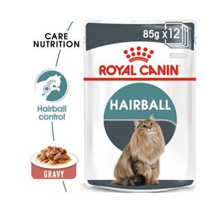 Royal Canin Hairball Care in Gravy 12x85 g รอยัลคานิน อาหารแมว สูตรลดก้อนขน