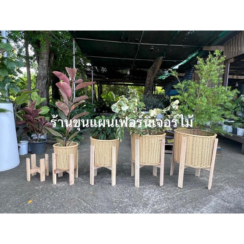 ตะกร้า ตะกร้าปลูกต้นไม้ ตะกร้าผักตบชวา ผสมหวายแท้   งานสวยรับประกันคะ ราคา ถูกที่สุด ดีลบีเคเค แกลเลอรีภาพที่ 4