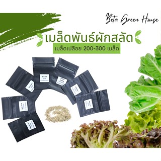 เมล็ดพันธุ์ผักสลัด 200-300 เมล็ด