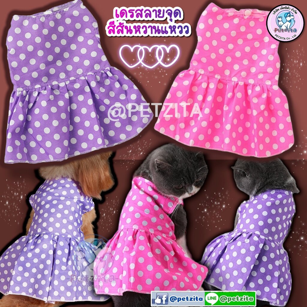 พร้อมส่ง เดรสลายจุด สีสันหวานแหวว น่ารักสุดๆ for pet สุนัข หมา แมว