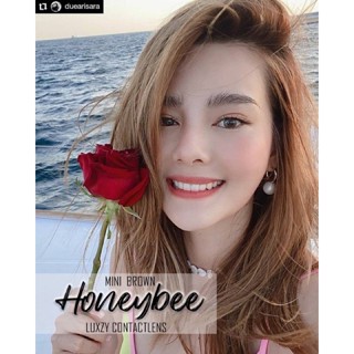 🔥🔥คอนแทคเลนส์ 🔥🔥Mini Honey Bee Luxzylens✨ขนาดมินิ✨❤️นิ่มใส่สบาย เกรดพรีเมียม❤️