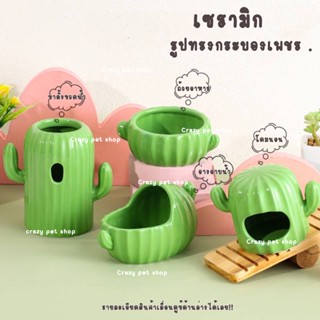 [crazy pet shop] Cactus ถ้วย/บ้านเซรามิกรูปทรงกระบองเพชร🌵 สำหรับแฮมสเตอร์พันธุ์เล็ก