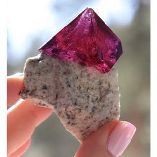 Alum Chrome Alum From Poland Gemmy Purple Crystals And Great Brilliance LQQK  5.2 Cms