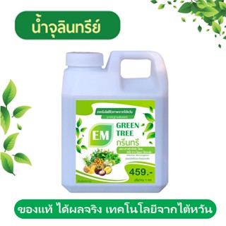 สารกระตุ้นเชิงชีวภาพสูตรของไต้หวัน Green Tree ช่วยให้พืชเติบโตเร็ว แข็งแรง ทนโรต บำรุงทุกส่วนของพืช และดิน ขวด 1 ล