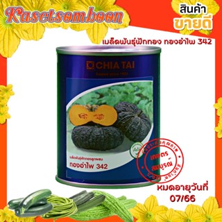 ฟักทอง ทองอำไพ342 F1 เมล็ดพันธุ์ 100 ก. ตรา เจียไต๋