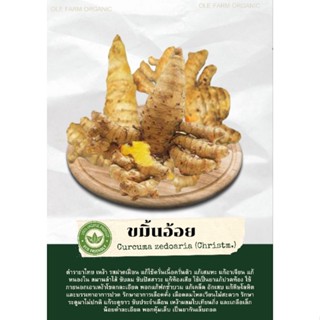 ขมิ้นอ้อยสดออแกนิค(บรรจุ 250-500-1000กรัม)