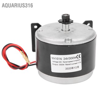 Aquarius316 24V 300W ความเร็วสูง Sprocket เครื่องยนต์ ชุดแปลงจักรยานไฟฟ้า Scooter E Bike Accessory