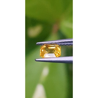 พลอย บุษราคัม Yellow Sapphire 0.90 กะรัต (Cts.)