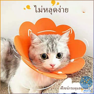 Tmala คอลล่าแมว ปลอกคอดอกไม้ ปลอกคอกันเลีย คอลล่าสุนัข  Cat coll