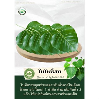 ใบโพธิ์ออแกนิคเก็บสด(1ชุดมี25ใบ)