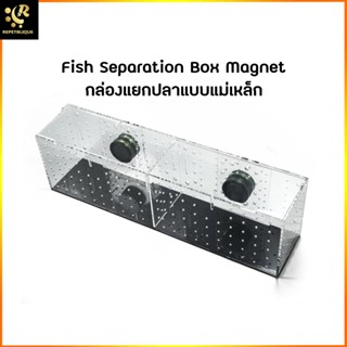 กล่องแยกปลา 4 ช่อง แม่เหล็ก Fish Box Magnet กล่องพักปลา กล่องอนุบาลปลา ปลาป่วย ปลาท้อง Breeding BOX Repetblique