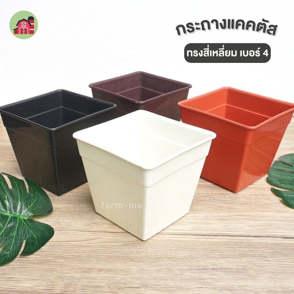 กระถางแคคตัสสี่เหลี่ยม เบอร์ 4 แพ๊ค 20 ใบ วัดด้าน3.5นิ้ว มุม4นิ้ว