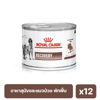 Royal Canin Recovery อาหารสัตว์ป่วย พักฟื้นหลังผ่าตัด สุนัขและแมวเบื่อหรือขาดสารอาหาร 195g. x12 กระป๋อง