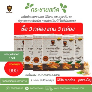 Goodganic กระชายขาวสกัด 3แถม3 : กระชายกู๊ดแกนิค กู๊ดแกนิค ลดความอ้วน สมุนไพรลดความอ้วน ลดไขมัน กระชายสกัด ลดน้ำหนัก