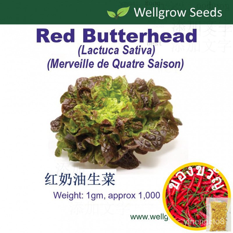 (1gm-รังสรรค์1000 SDS)-News-zhanjia Technology Co., Ltd DWKJ