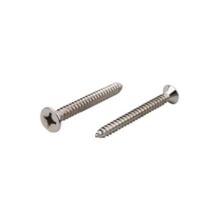 SELF-TAPPING สกรูเกลียวปล่อย TF DEXZON 12X2 นิ้ว 25 ตัวSELF-TAPPING SCREWS TF DEXZON 12X2IN 25EA