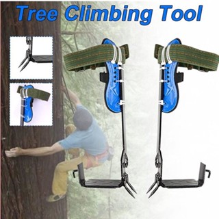 อุปกรณ์ปีนต้นไม้ อุปกรณ์ปีนเสาไม้ รองเท้าปีนต้นไม้ Tree Climbing Spike Set W/Gear Adjustable Lanyard Stainless Steel