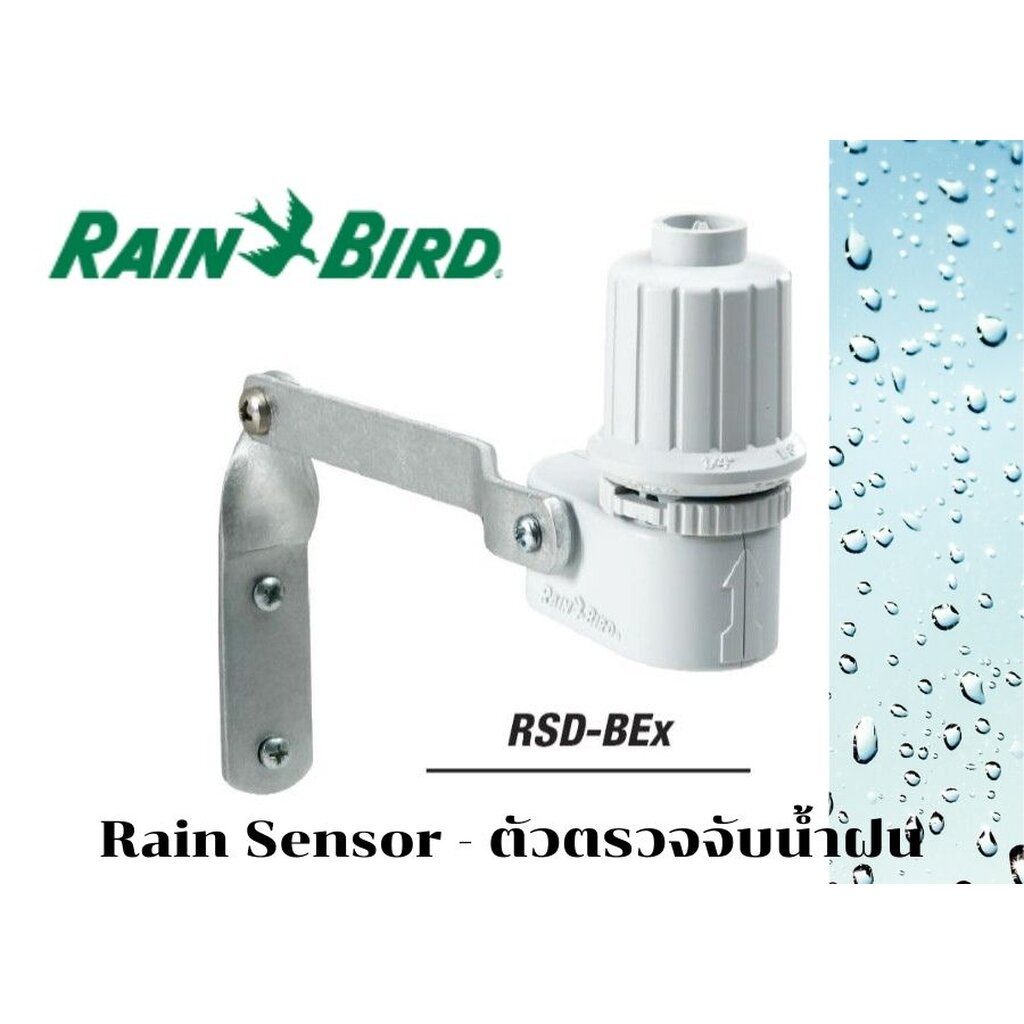 ตัวตรวจจับน้ำฝน Rain Sensor Rain Bird รุ่น RSD-BEx (USA)