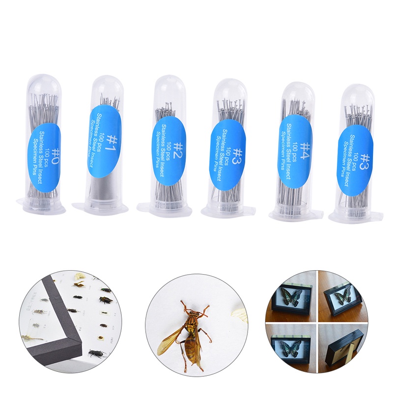100 ชิ้นแบบบูรณาการแมลงเข็มแมลง Pins ตัวอย่างเข็มสแตนเลสโรงเรียน Lab อาการอักเสบเข็ม