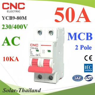 MCB AC 50A 2Pole เบรกเกอร์ไฟฟ้า ตัดวงจรไฟฟ้า กระแสเกินพิกัด ไฟลัดวงจร 10KA CNC รุ่น MCB-2P-50A-CNC